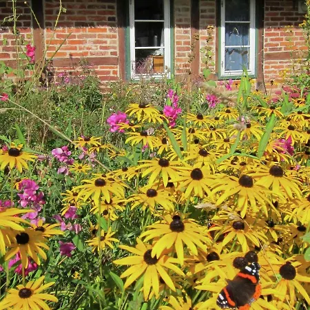 Big Holiday In Germany With Private Garden Сasa de vacaciones Pronstorf